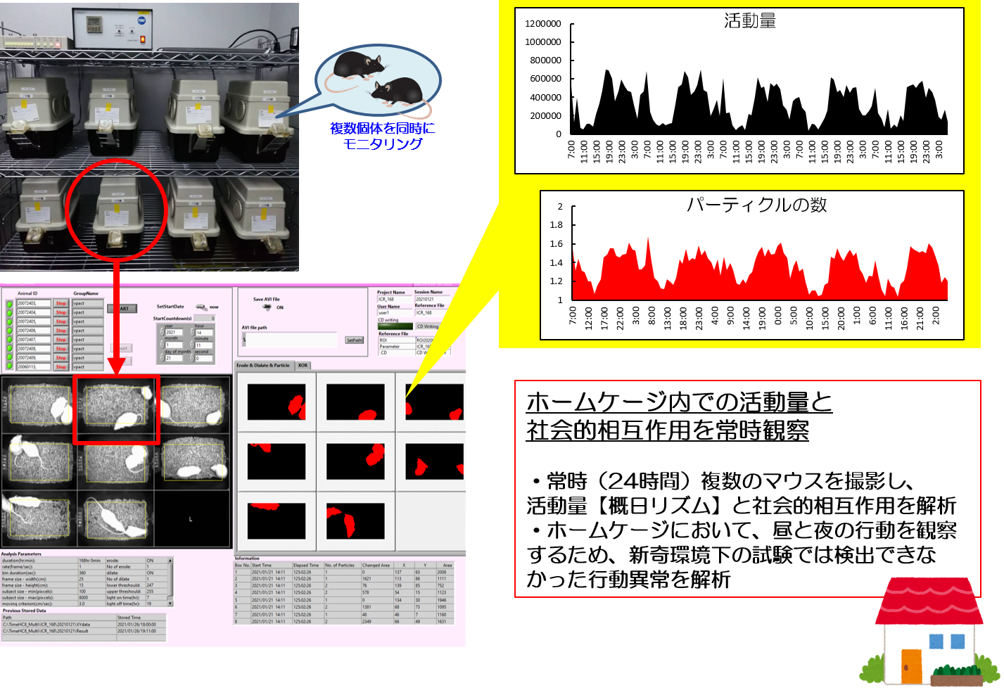 一日の生活イメージ