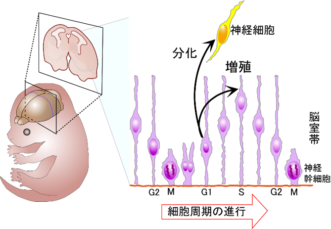 教育方針イメージ